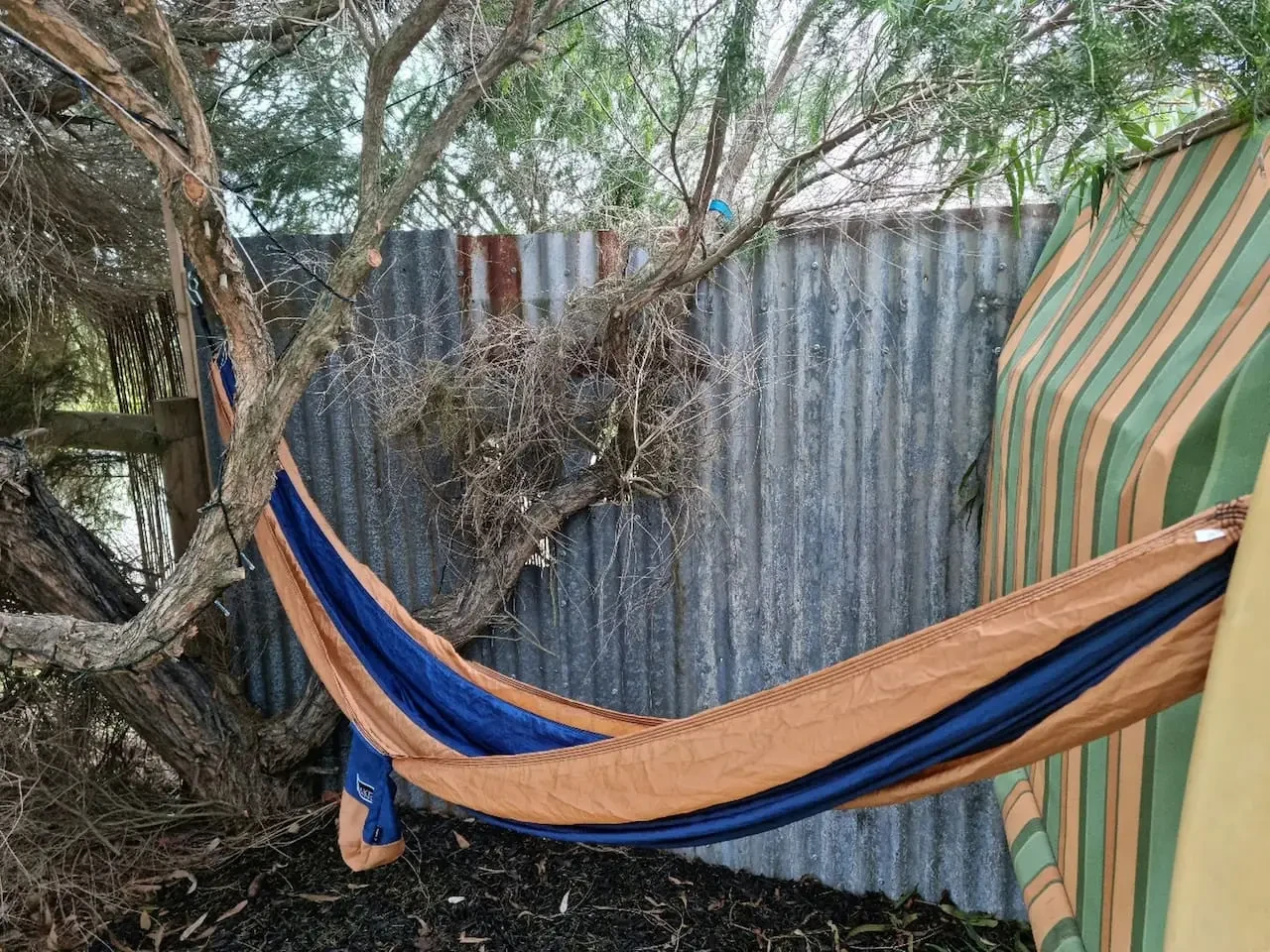 Hammock strung between trees in the Far View garden
