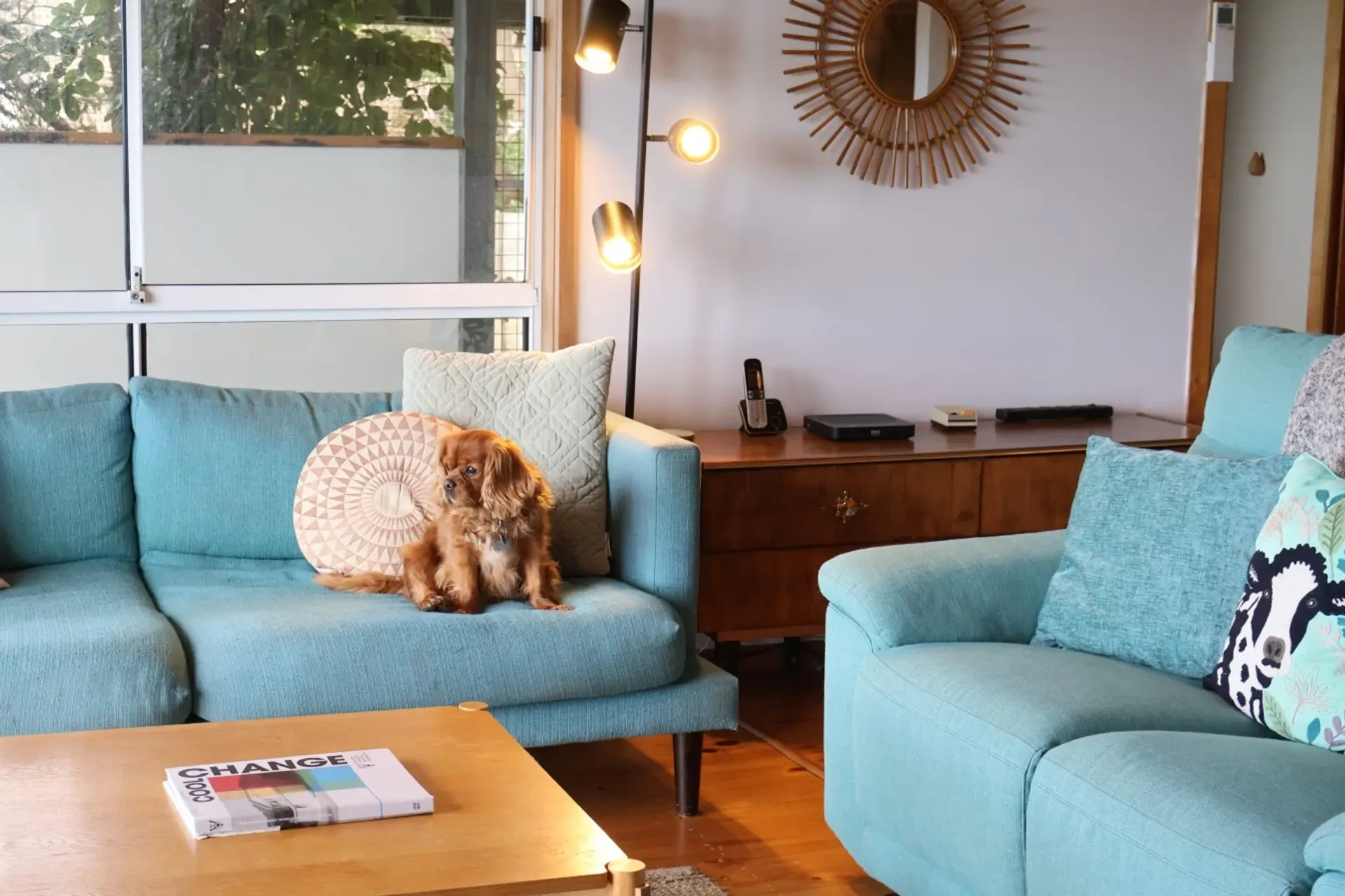 Far View lounge with mid-century furniture and dog