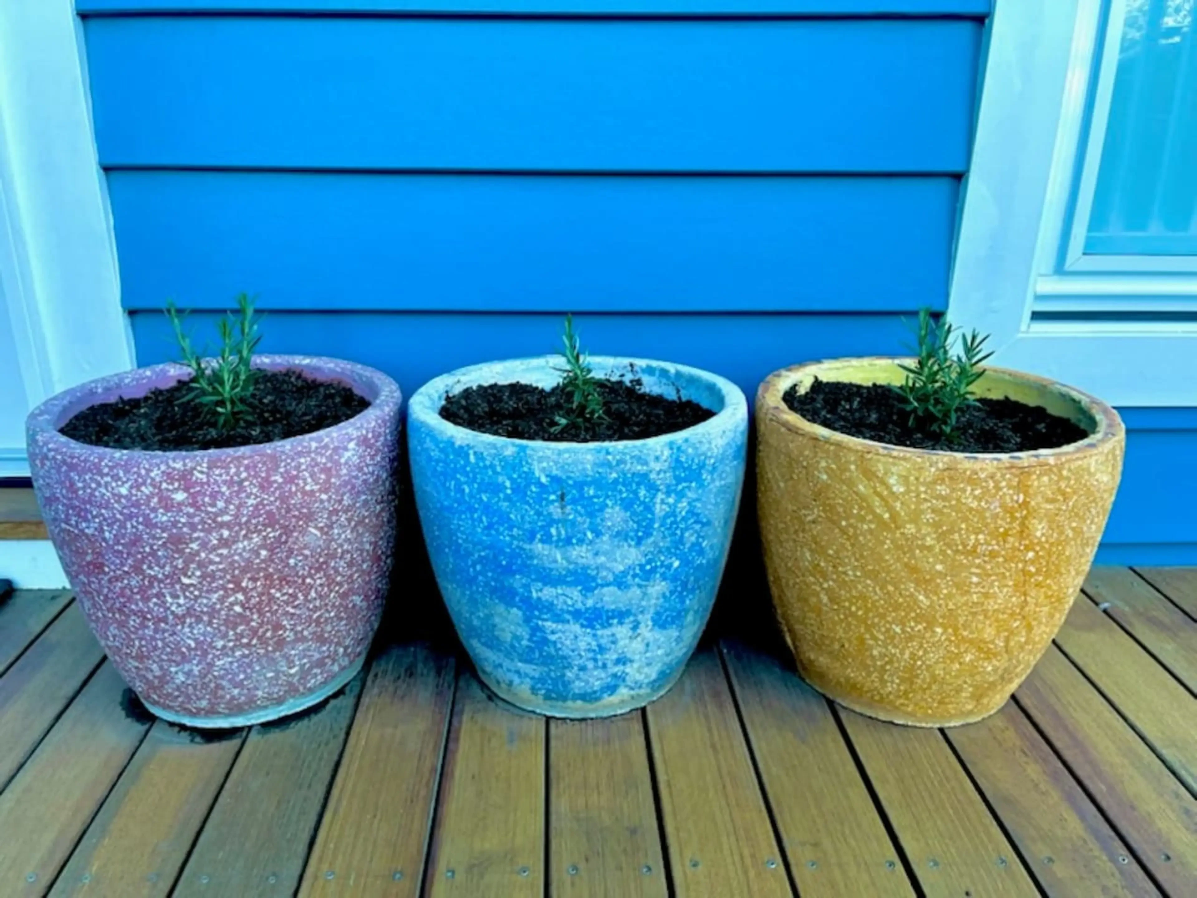 Ocean Blue — colourful pots on the deck