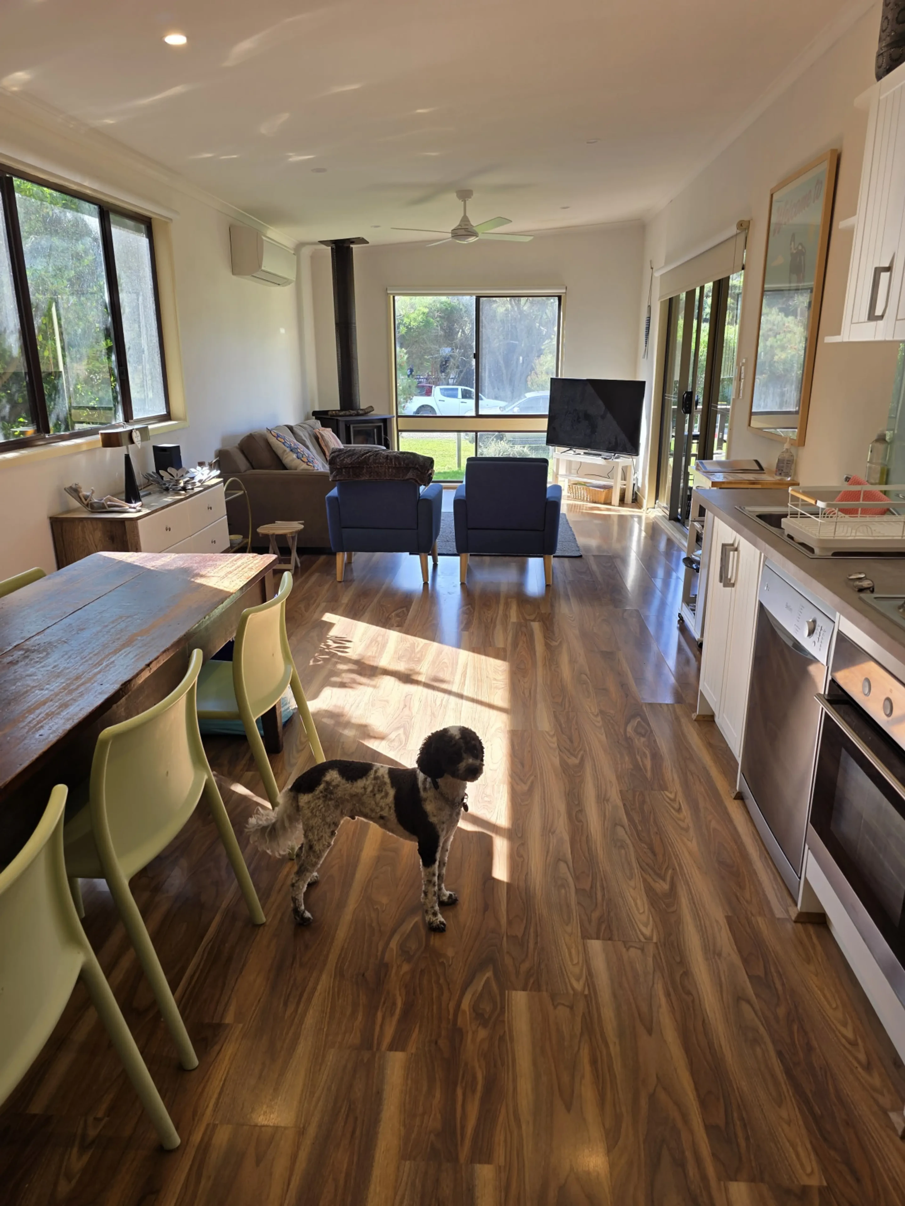Open plan living, dining and kitchen with dog