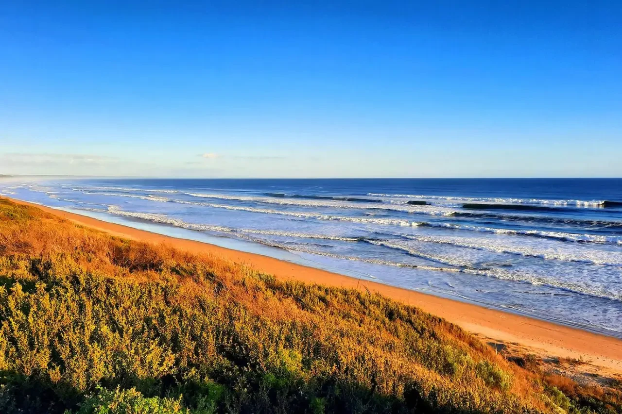 Retro Dunes coastal beach with golden sand dunes
