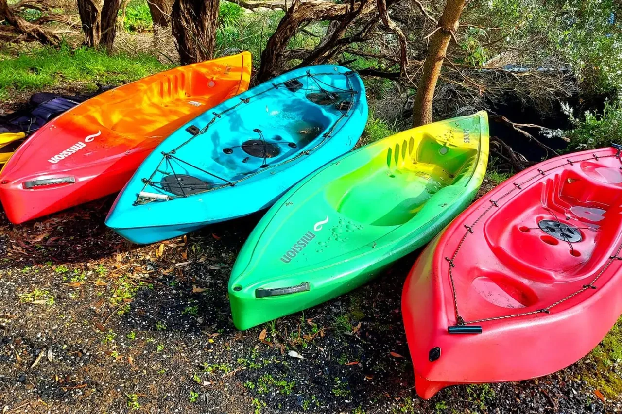 Retro Dunes colourful kayaks under trees